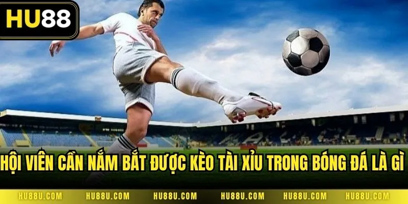 Hội viên cần nắm bắt được kèo tài xỉu trong bóng đá là gì trước khi chơi